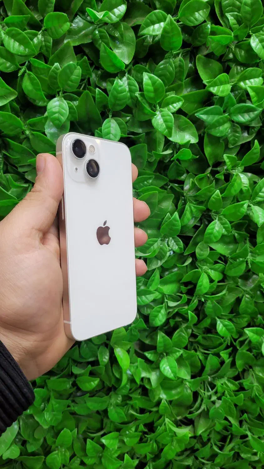 ایفون 13 نرمال سفید|موبایل|گنبد کاووس, |دیوار