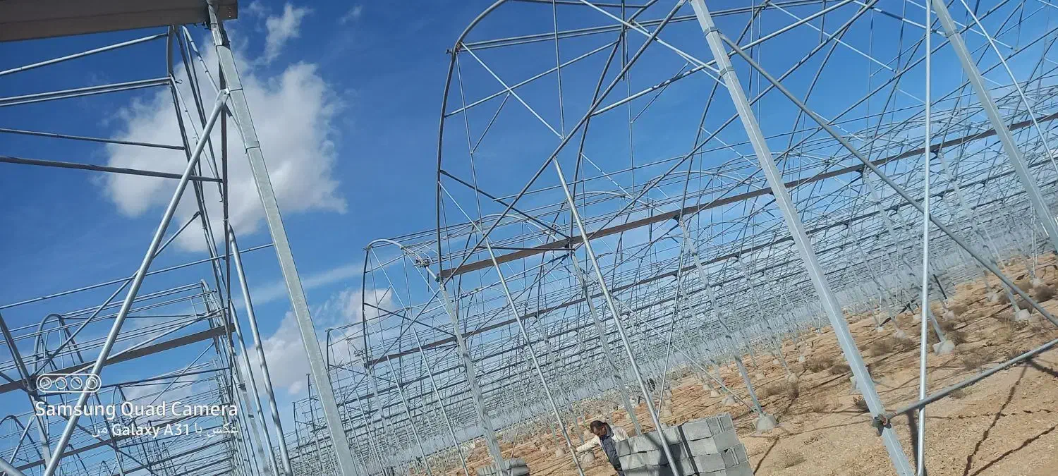 ساخت و تجهیزات گلخانه|عمده‌فروشی|دهاقان, |دیوار