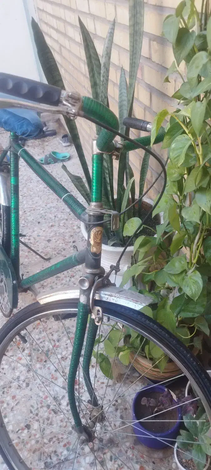 دوچرخه ژاپن اصل|دوچرخه، اسکیت، اسکوتر|اهواز, آسیاباد|دیوار