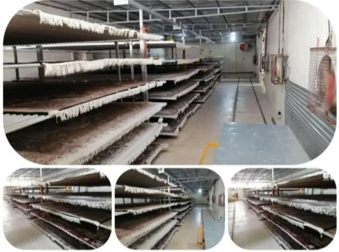 قالیشویی نمونه و مبل شویی نمونه|خدمات نظافت|مریوان, |دیوار