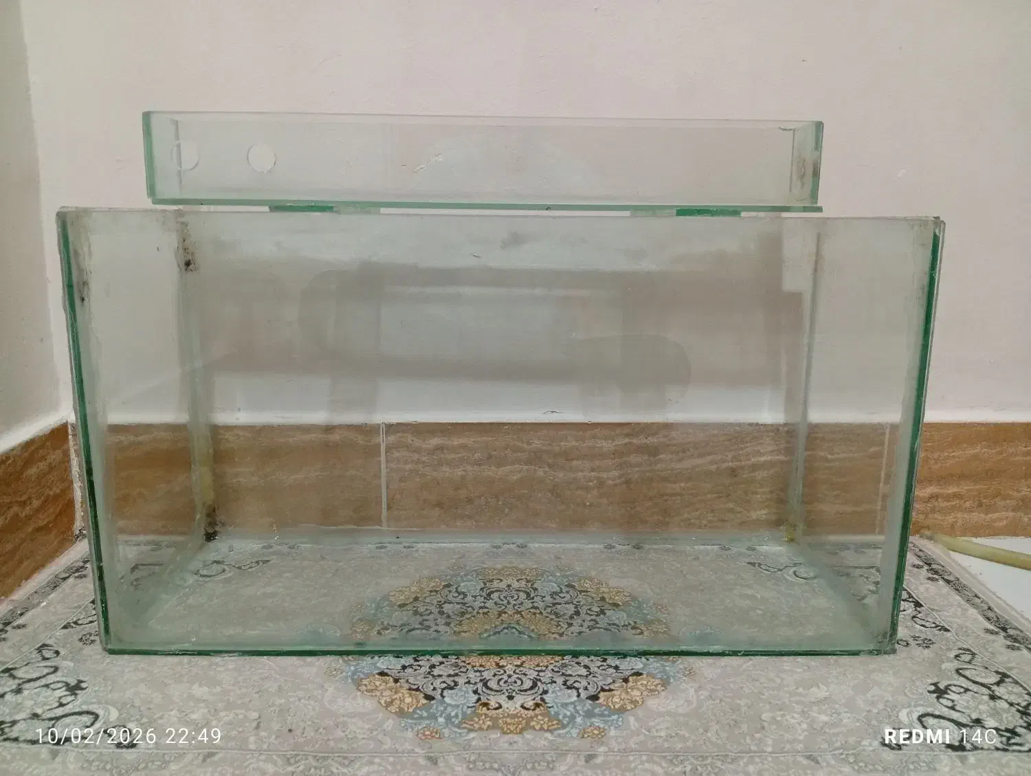 آکواریوم|ماهی|بندرعباس, |دیوار