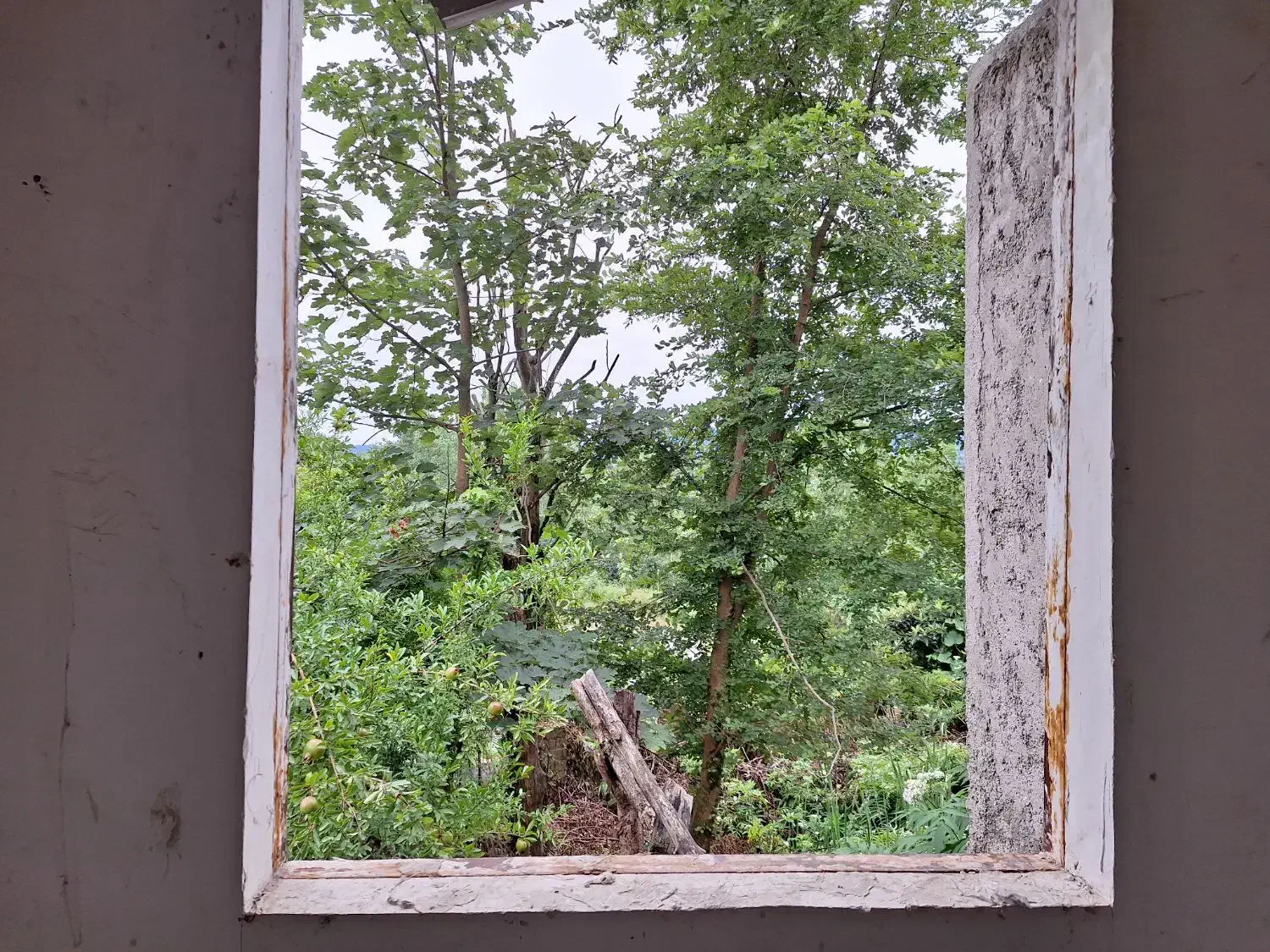 فروش خانه ویلایی ۱۰۰ متری ۳ خوابه|فروش خانه و ویلا|شفت, |دیوار