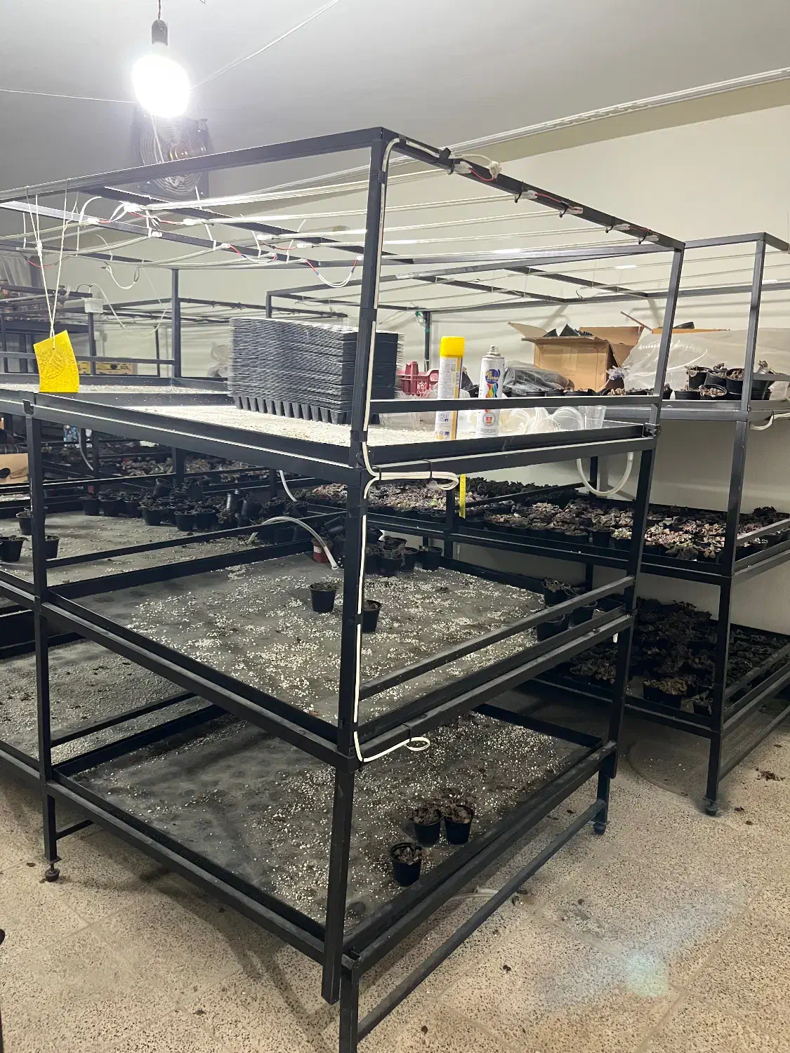 قفسه گل و گیاه / قارچ|فروشگاه و مغازه|برخوار, |دیوار