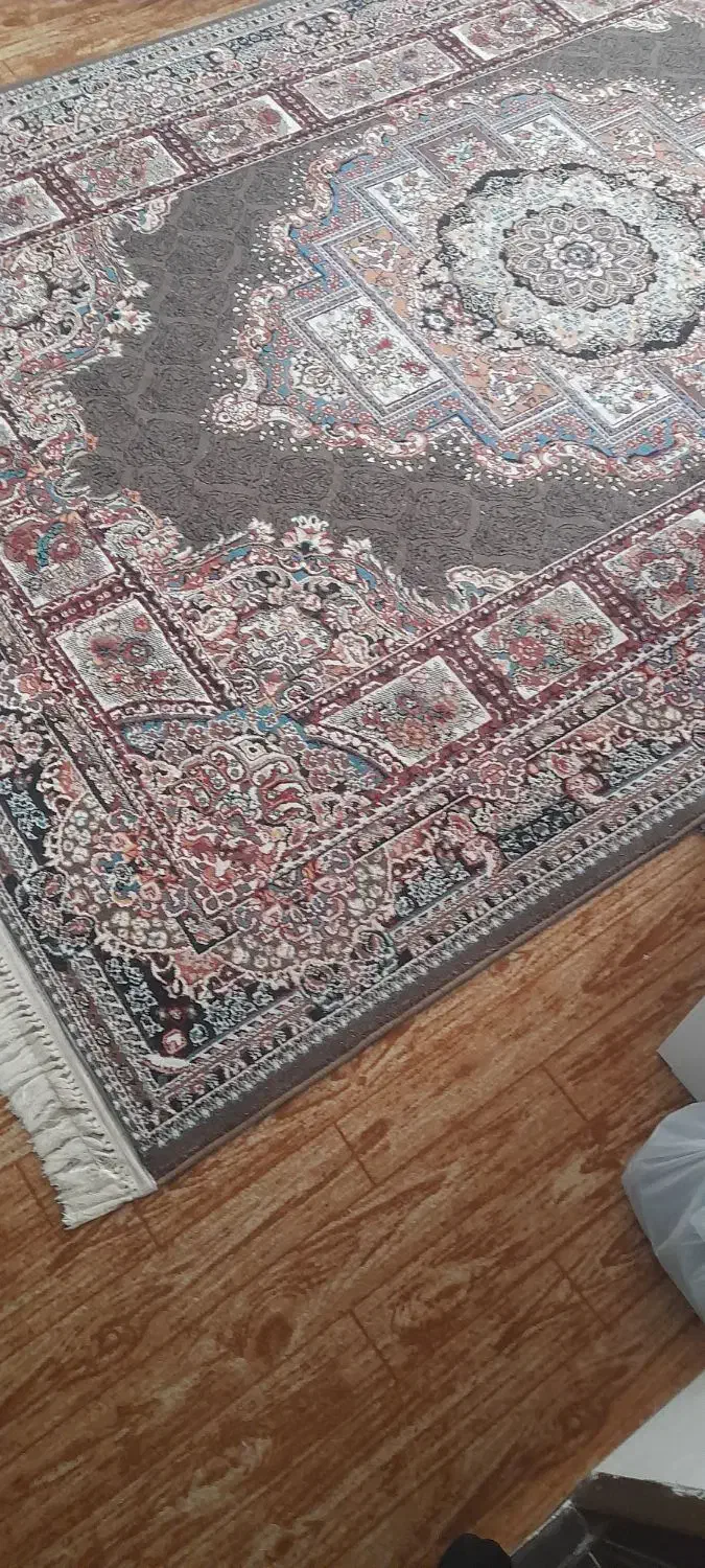 فروشی|فرش|سلماس, |دیوار