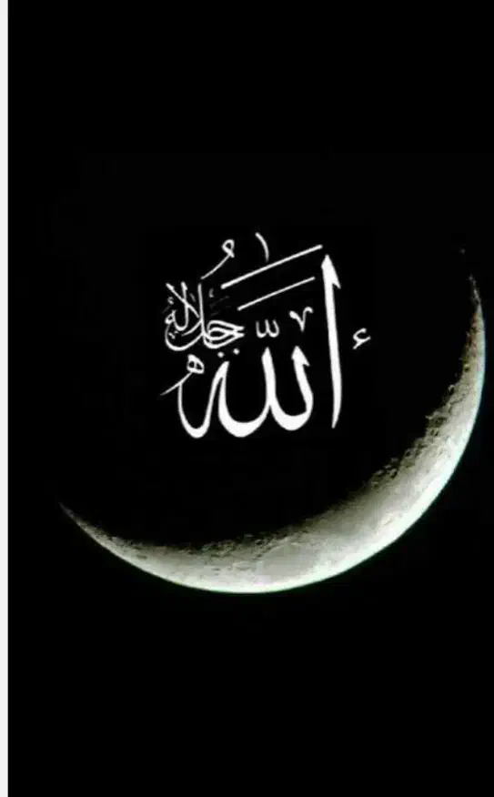 کتاب قرانی|کتاب و مجله مذهبی|اهر, |دیوار