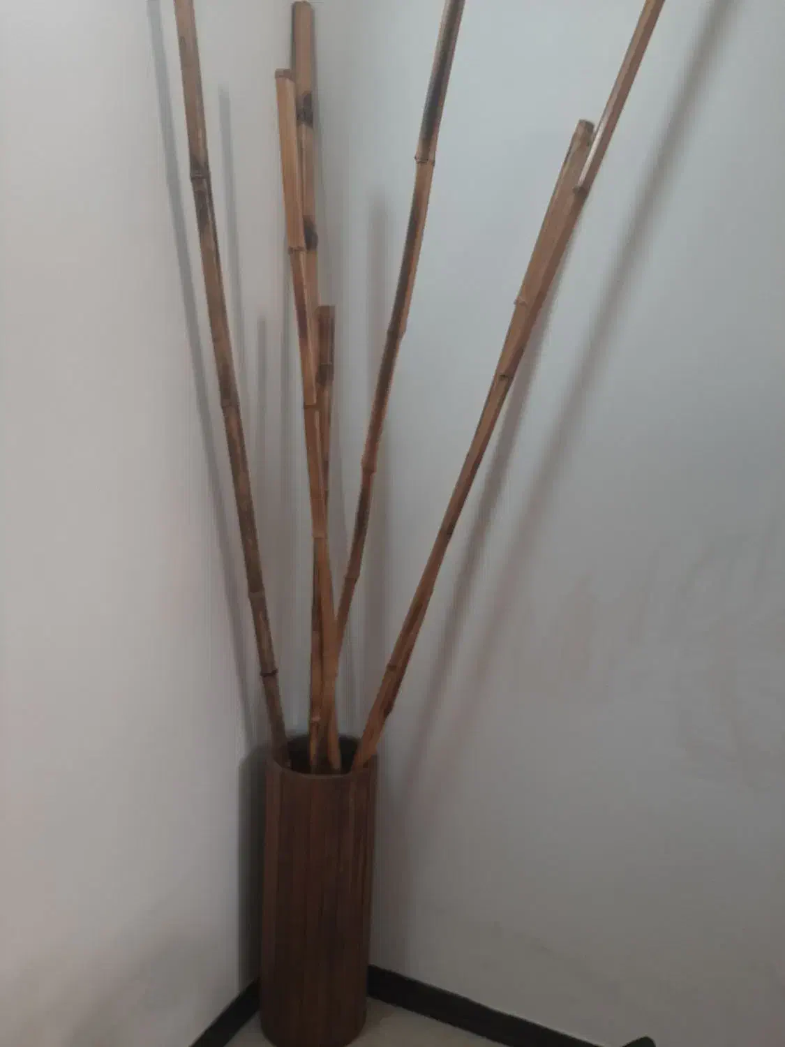 بامبو|گل مصنوعی|مشهد, کوشش|دیوار