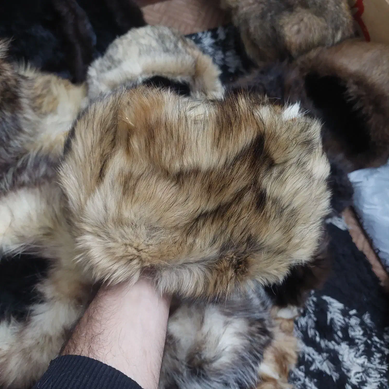 کلاه جنس گرگی|لباس|تهران, جوادیه تهرانپارس|دیوار