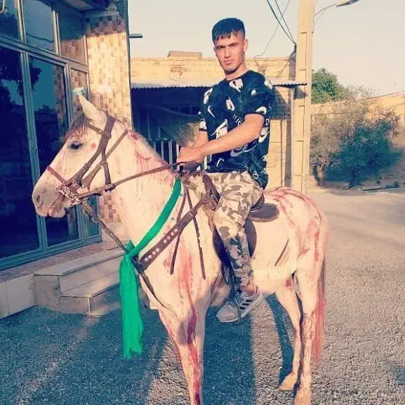 اسب فروشی|اسب و تجهیزات اسبسواری|اراک, |دیوار