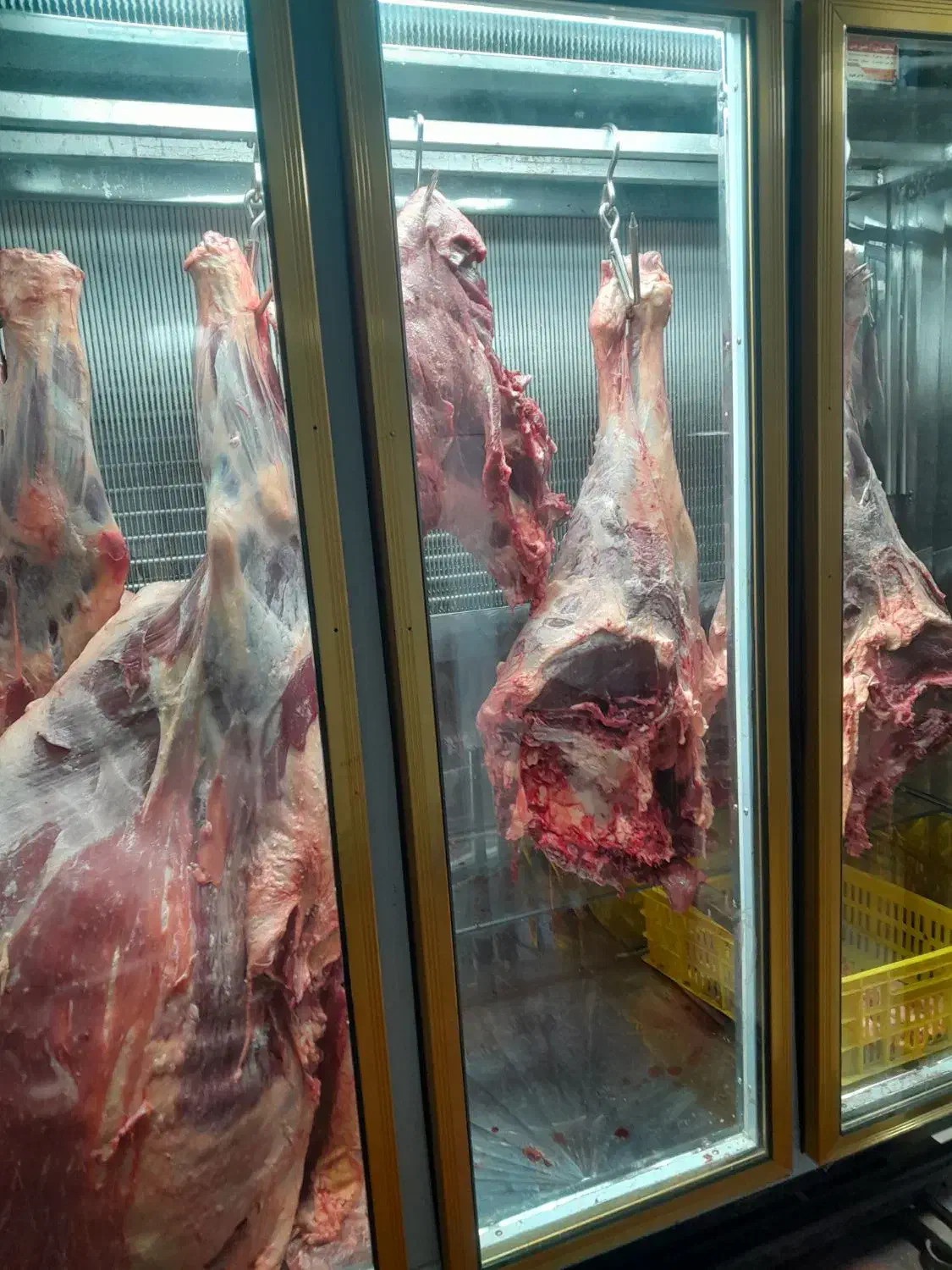 یخچال قصابی موتور دانفوس کاملا نو|کافی‌شاپ و رستوران|اردبیل, |دیوار