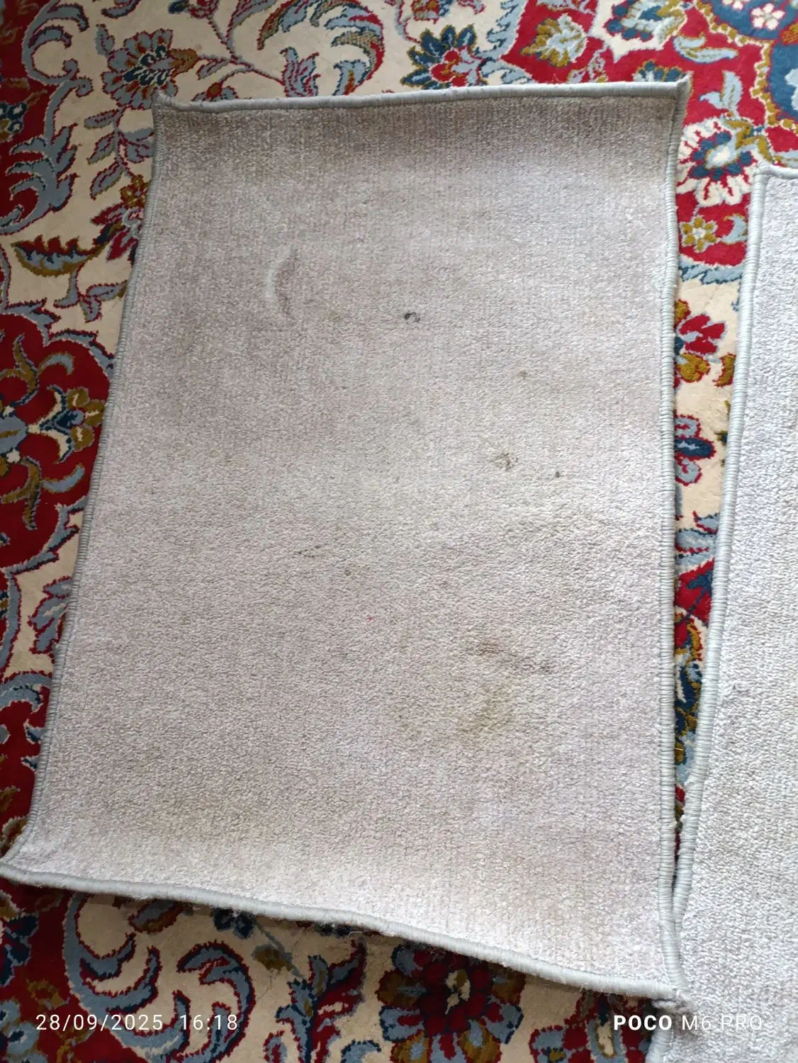 پادری رنگ طوسی|پادری|مشهد, تلگرد|دیوار