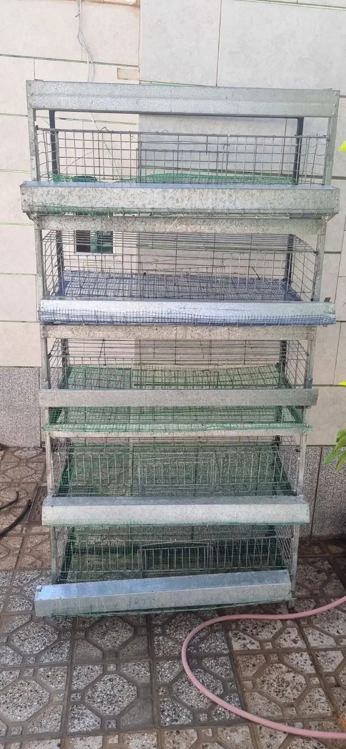 قفس۵طبقه بلدرچین|لوازم جانبی حیوانات|دهاقان, |دیوار