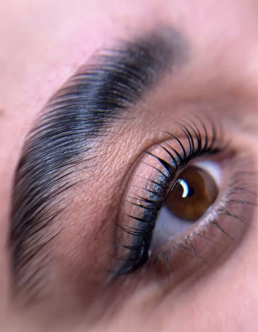 لیفت مژه و ابرو کاشت موقت|خدمات آرایشگری و زیبایی|چمستان, |دیوار