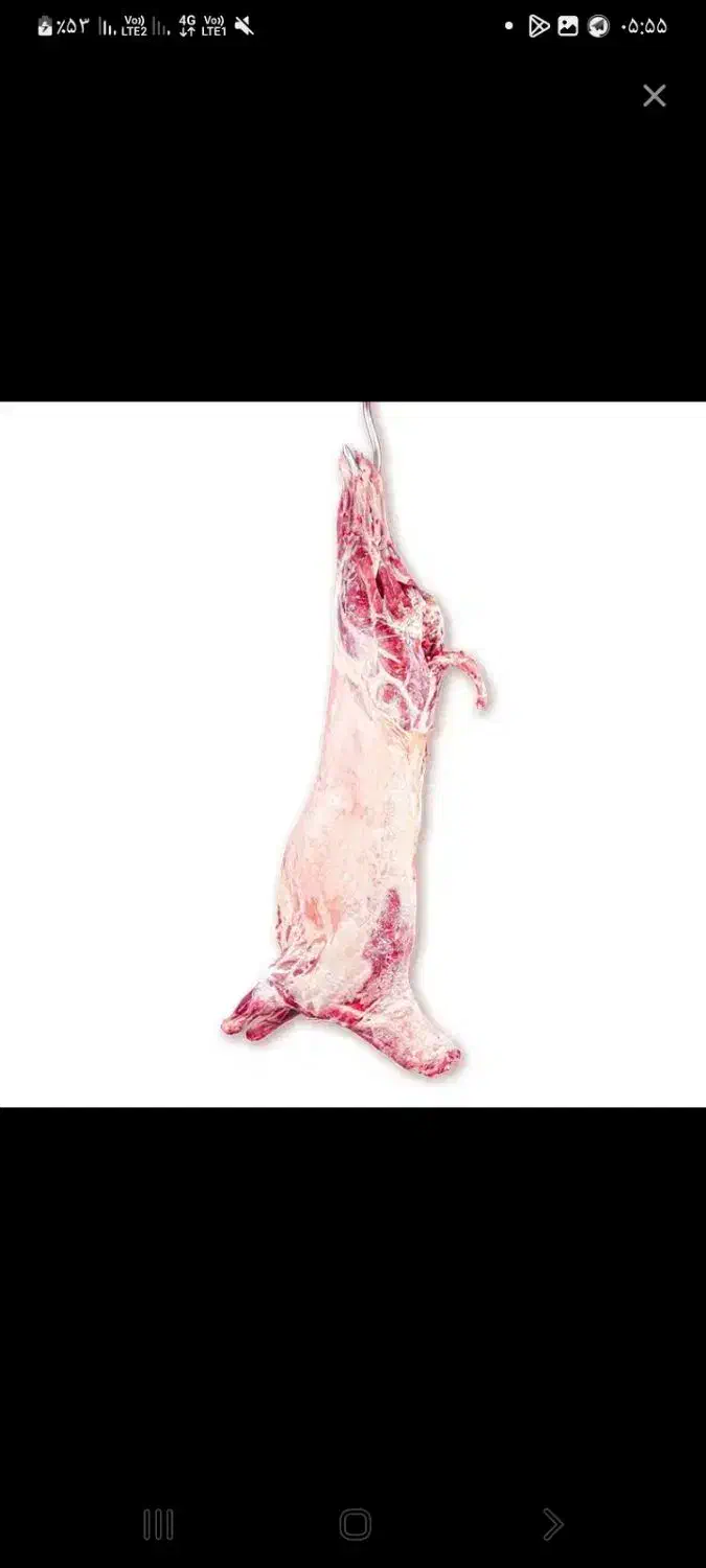 گوشت گوسفند بدون دنبه|خوردنی و آشامیدنی|شهریار, دهشاد بالا|دیوار