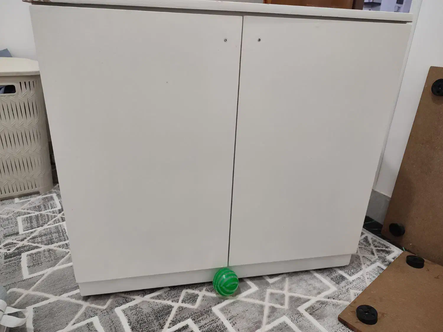 آکواریم کامل آماده پا به نو|ماهی|خمینی‌شهر, |دیوار