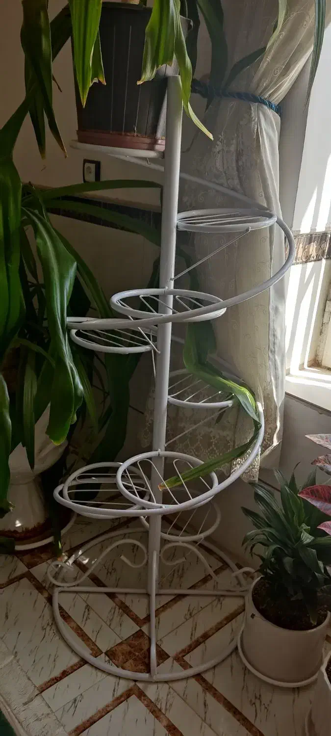 فروش استندگل|گل و گیاه طبیعی|رفسنجان, |دیوار