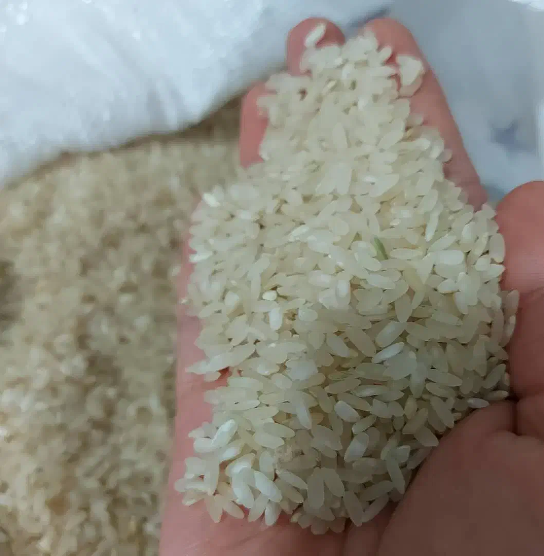 برنج کامفیروزی|خوردنی و آشامیدنی|شیراز, درکی|دیوار