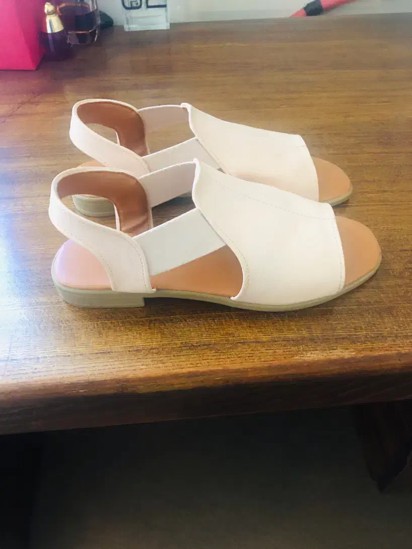 صندل|کیف، کفش، کمربند|رشت, معلم|دیوار