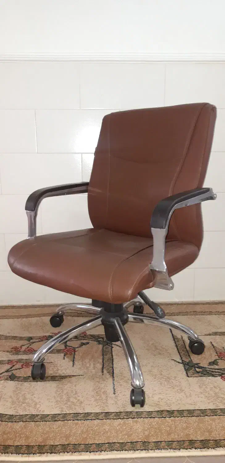 صندلی چرخدار|صندلی و نیمکت|مرودشت, ابوذر شمالی|دیوار