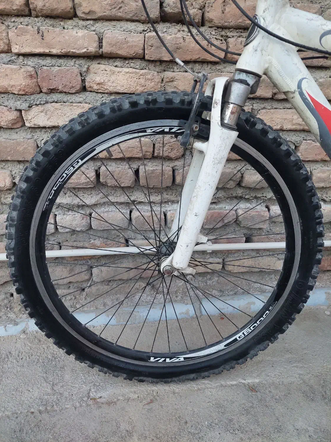 دوچرخه اصل ویوا|دوچرخه، اسکیت، اسکوتر|گرگان, |دیوار