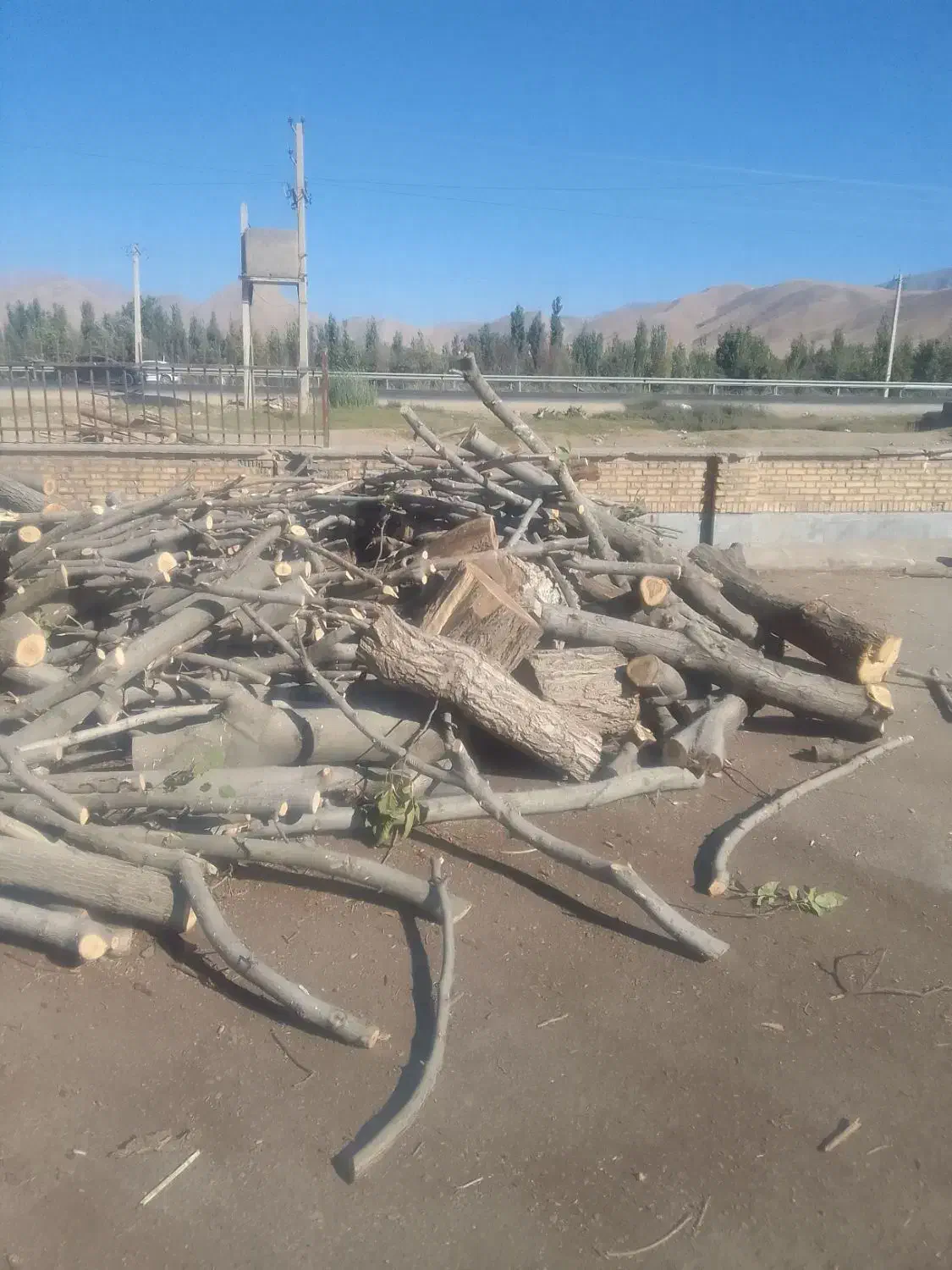 خرید انواع چوب|خدمات باغبانی و درختکاری|خرم‌آباد, |دیوار