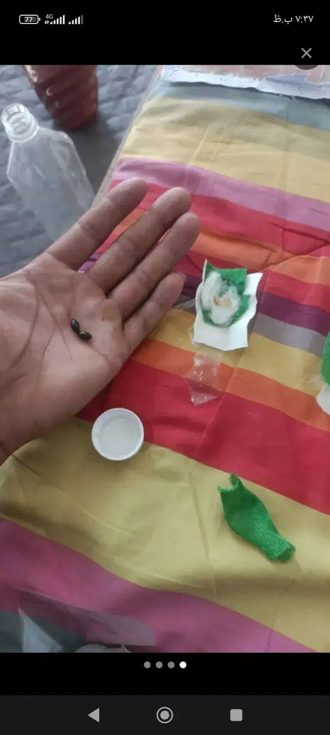 مهره اصل|جواهرات|شیراز, شهرک بهار|دیوار