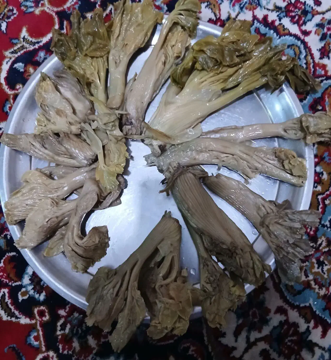 غنچه کرفس اصل کوه یَکه|حراج|خمینی‌شهر, |دیوار