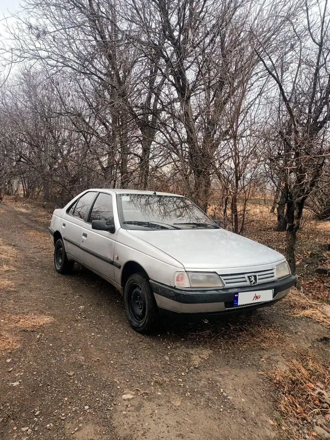 پژو ۴۰۵|خودرو سواری و وانت|ملایر, |دیوار