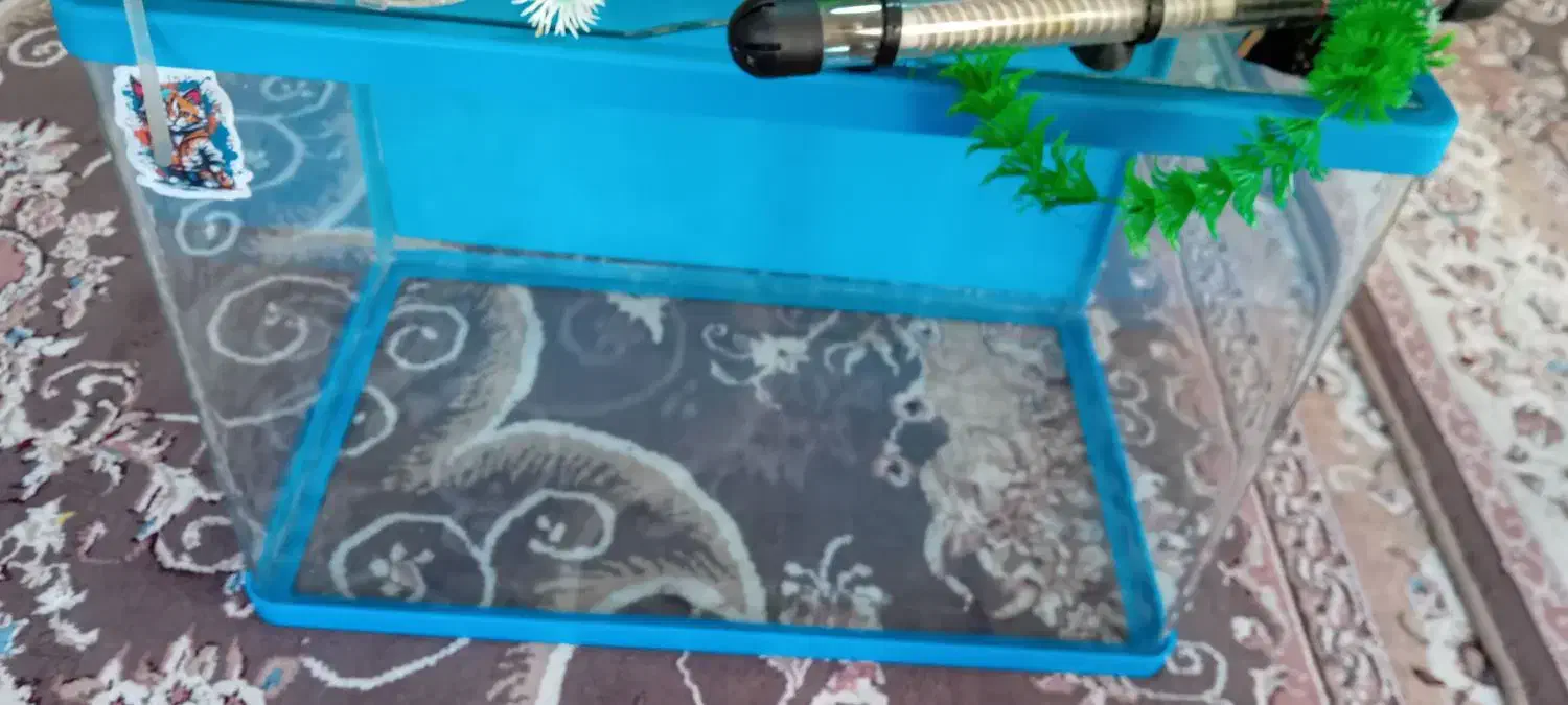 اکواریوم با لوازم|ماهی|بروجرد, |دیوار