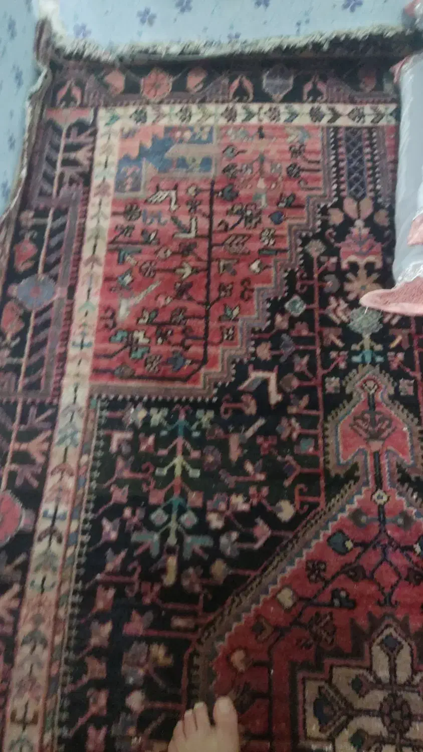 فرش دستبافت|فرش|مشکیندشت, |دیوار