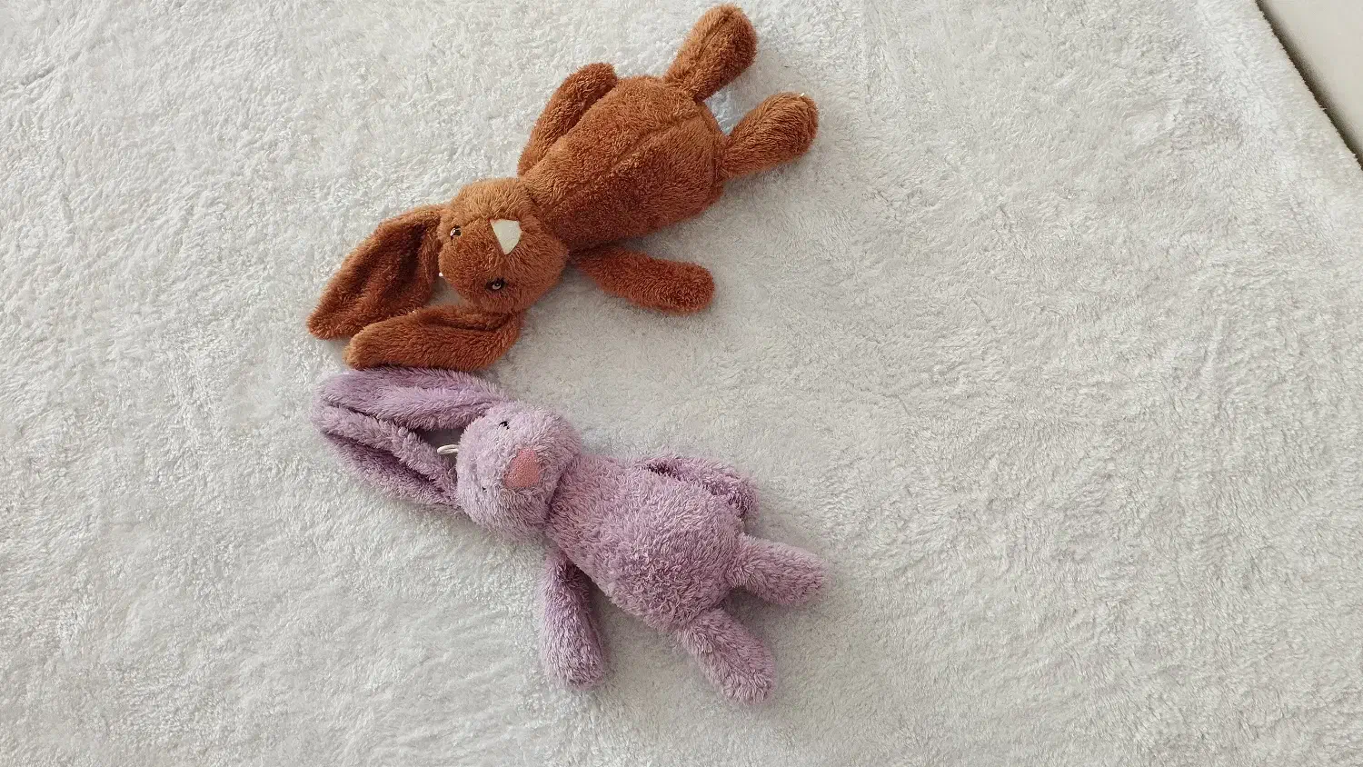 جیلی کت|اسباب‌بازی بچه|تربت‌حیدریه, طالقانی|دیوار