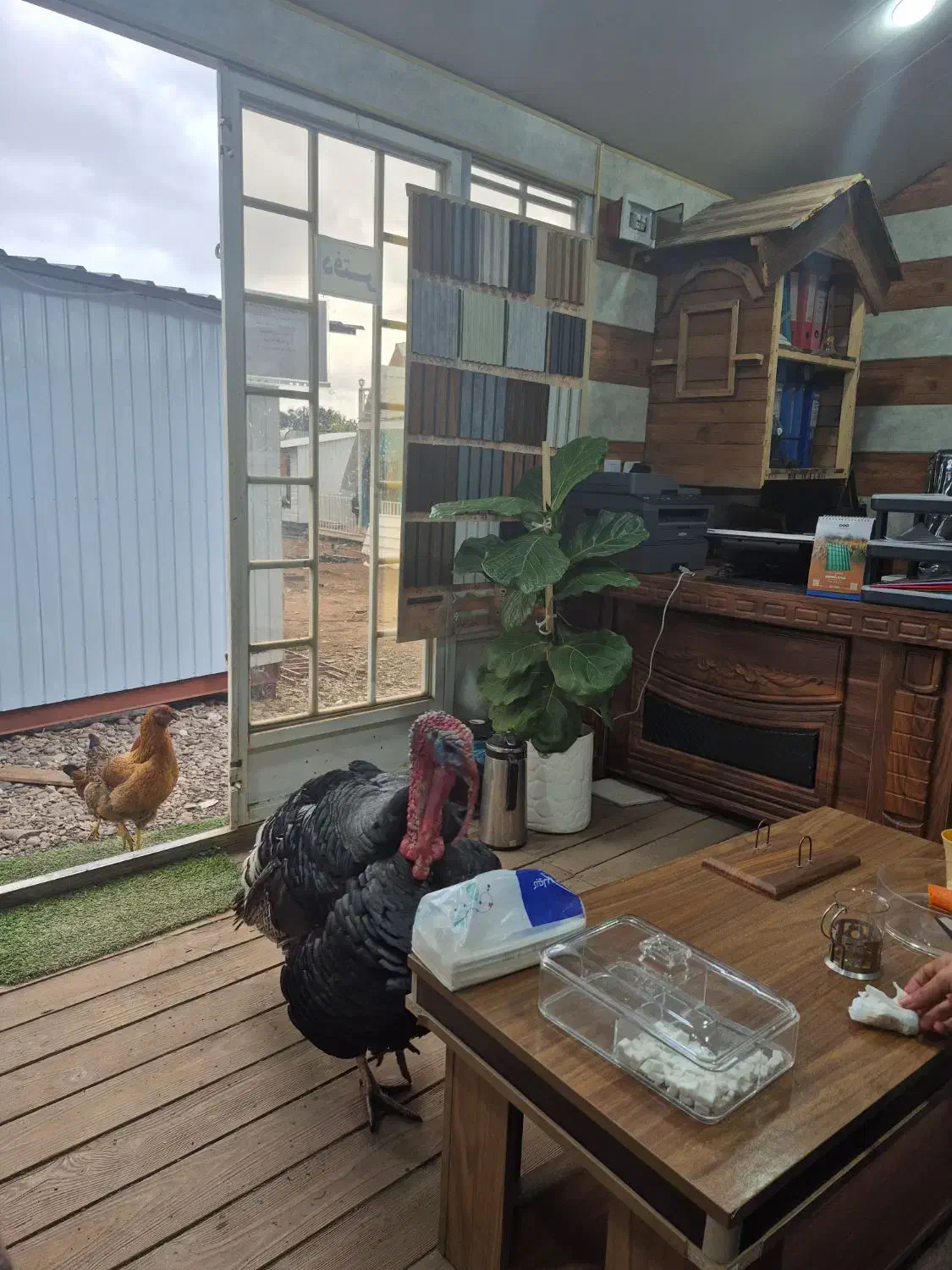 کانکس اداری ۱۸ متری|مصالح و تجهیزات ساختمان|لولمان, |دیوار