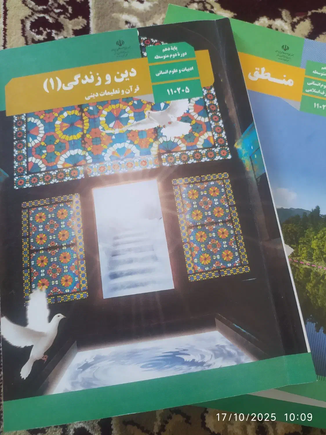 کتاب های تخصصی رشته ی انسانی کلاس دهم|کتاب و مجله آموزشی|گنبد کاووس, |دیوار