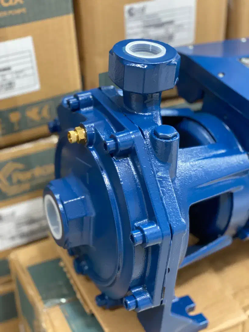 پمپ پنتاکس ۲ اسب دو پروانه ۶ ماه ضمانت سیم پیچ مس|مصالح و تجهیزات ساختمان|رشت, کوی امام رضا|دیوار