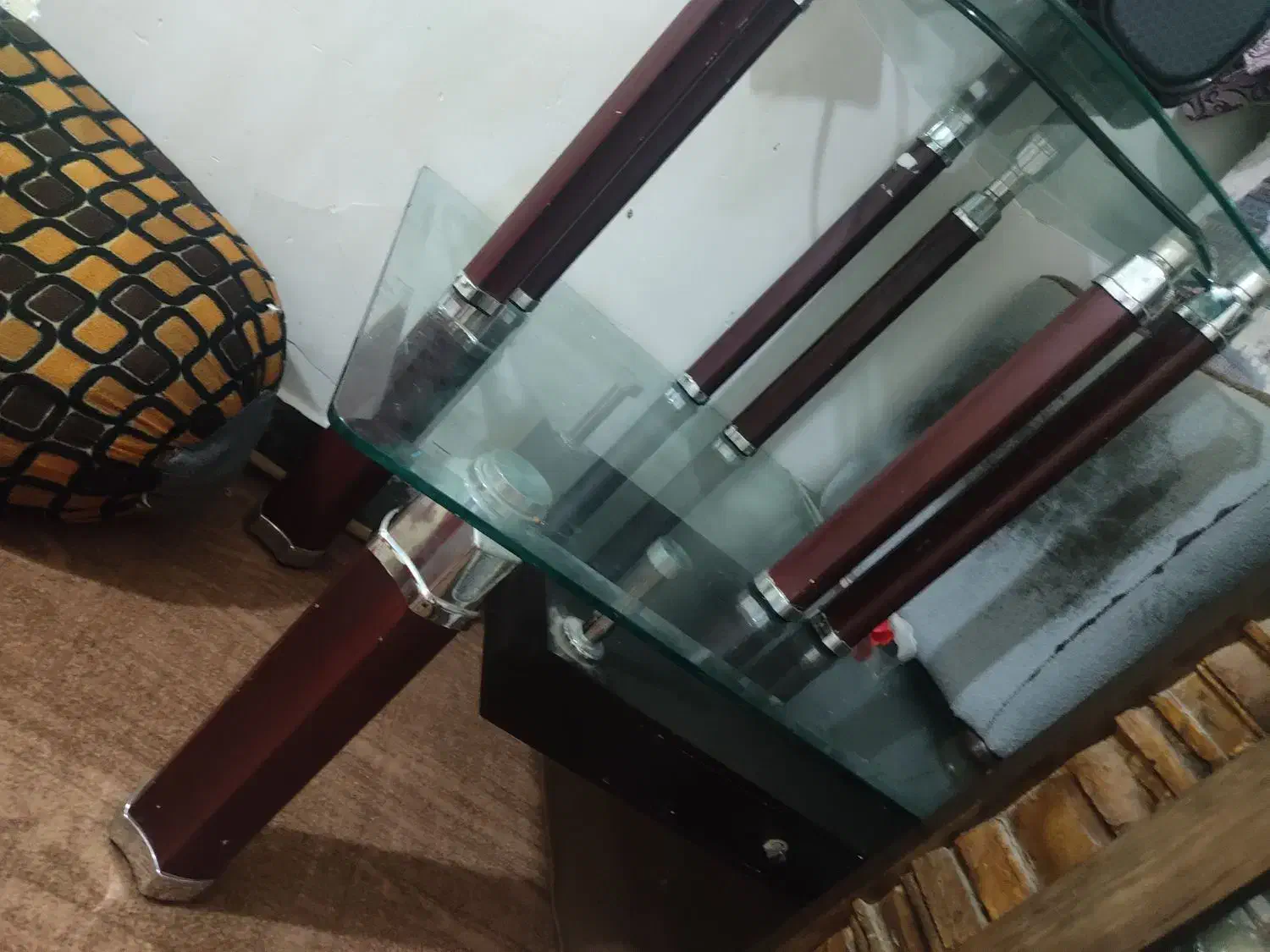 کوتوله نر ماده|پرنده|ایرانشهر, |دیوار