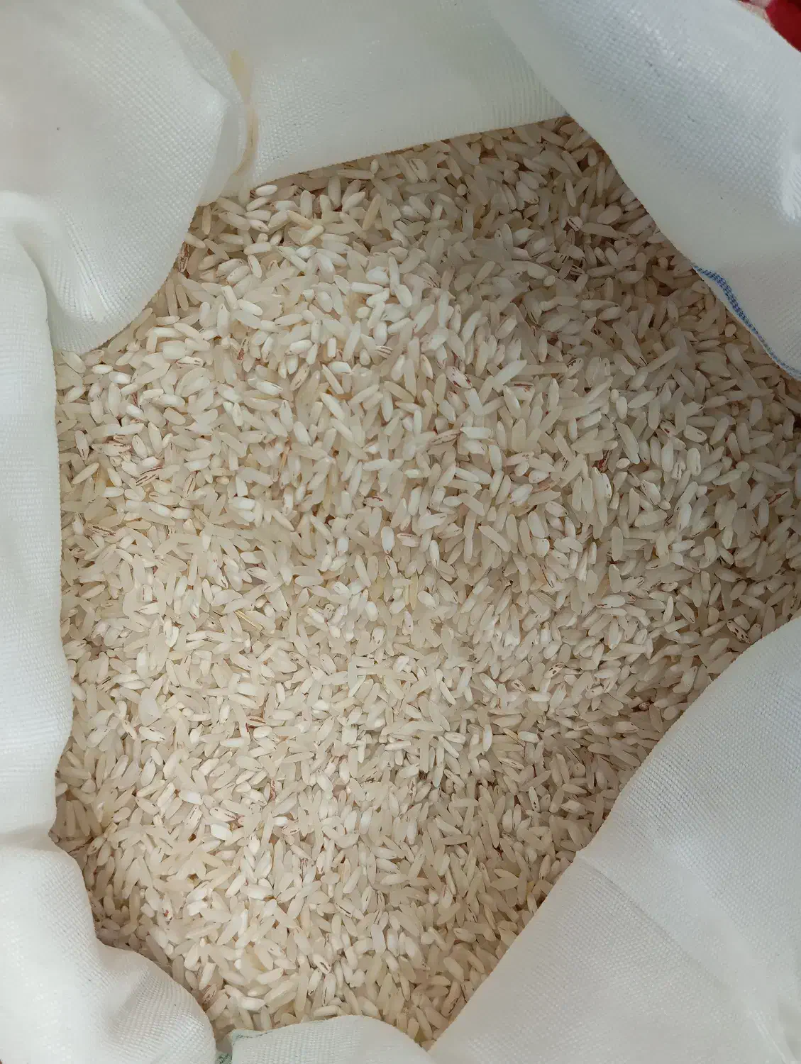 فروش برنج معطر|خوردنی و آشامیدنی|اردکان, |دیوار