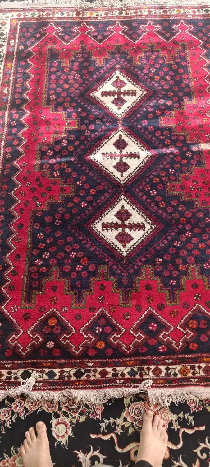 قالی دست بافت|فرش|سیرجان, |دیوار