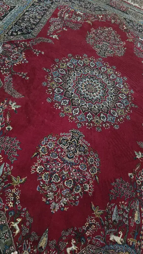 قالی ۱۲ متری ۷۰۰ شانه اصل|فرش|اهواز, کوی رمضان|دیوار