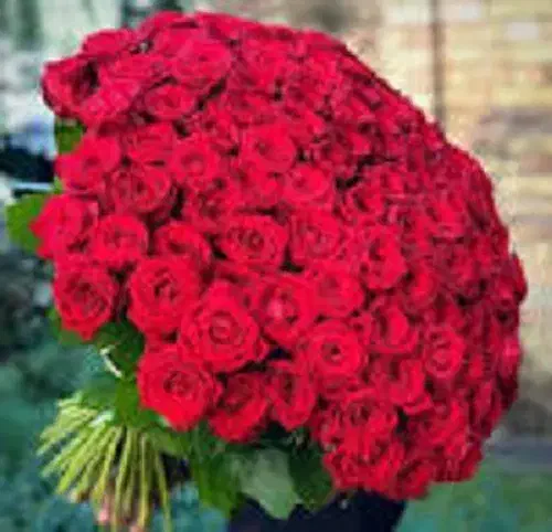 پرستار مادر|استخدام درمانی، زیبایی، بهداشتی|تبریز, |دیوار