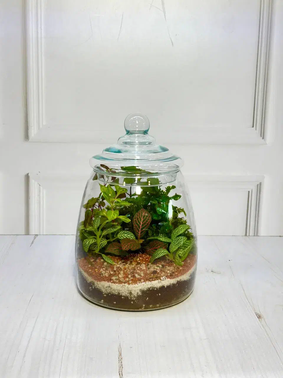 اموزش خصوصی و نیمه خصوصی تراریوم|خدمات آموزشی|تهران, شادمان|دیوار