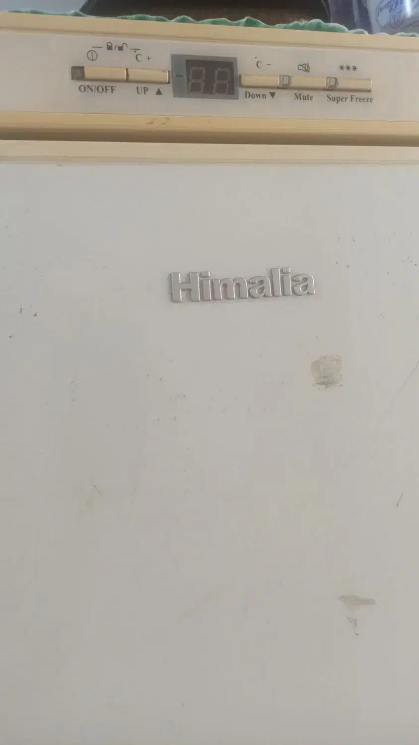 فریزر|یخچال و فریزر|رشت, بوسار|دیوار