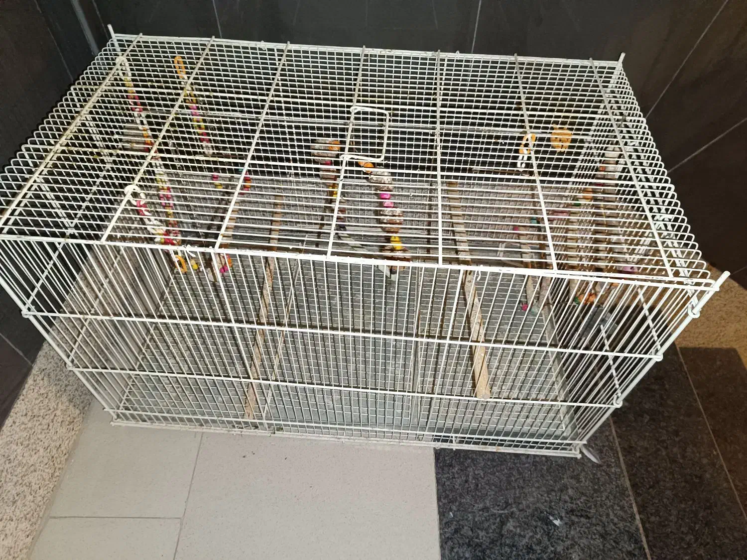 قفس پرون بزرگ|لوازم جانبی حیوانات|شیراز, اصلاحنژاد|دیوار