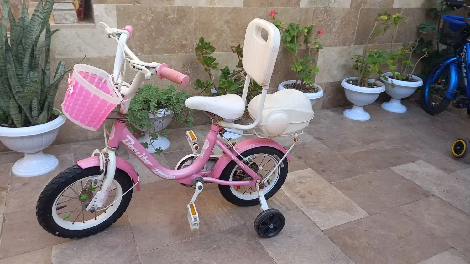 دوچرخه دخترونه|دوچرخه، اسکیت، اسکوتر|ساری, |دیوار