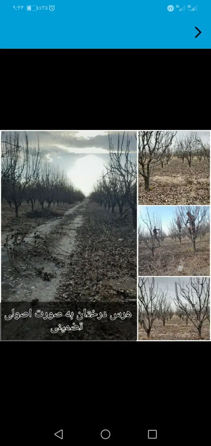 اجرای خدمات باغبانی صفر تا 100|خدمات باغبانی و درختکاری|مشهد, درزآب|دیوار