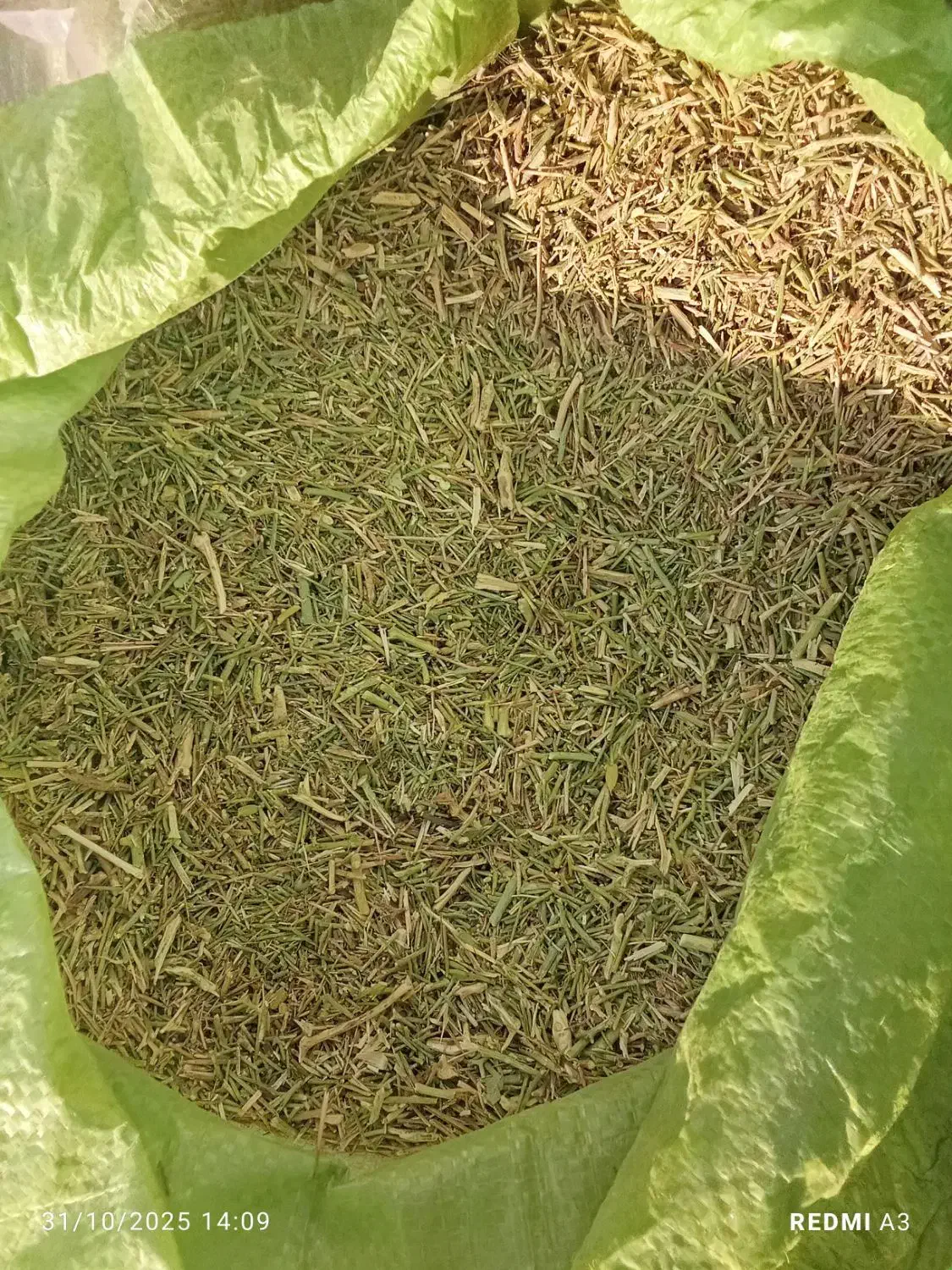 خار|لوازم جانبی حیوانات|میان جلگه, |دیوار