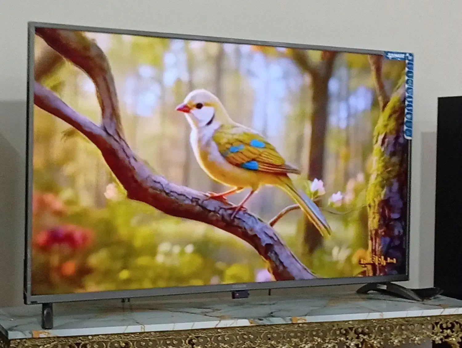 تلویزیون صنام باتصویر روشن ۵۵ اینچ سالم|تلویزیون و پروژکتور|همدان, |دیوار