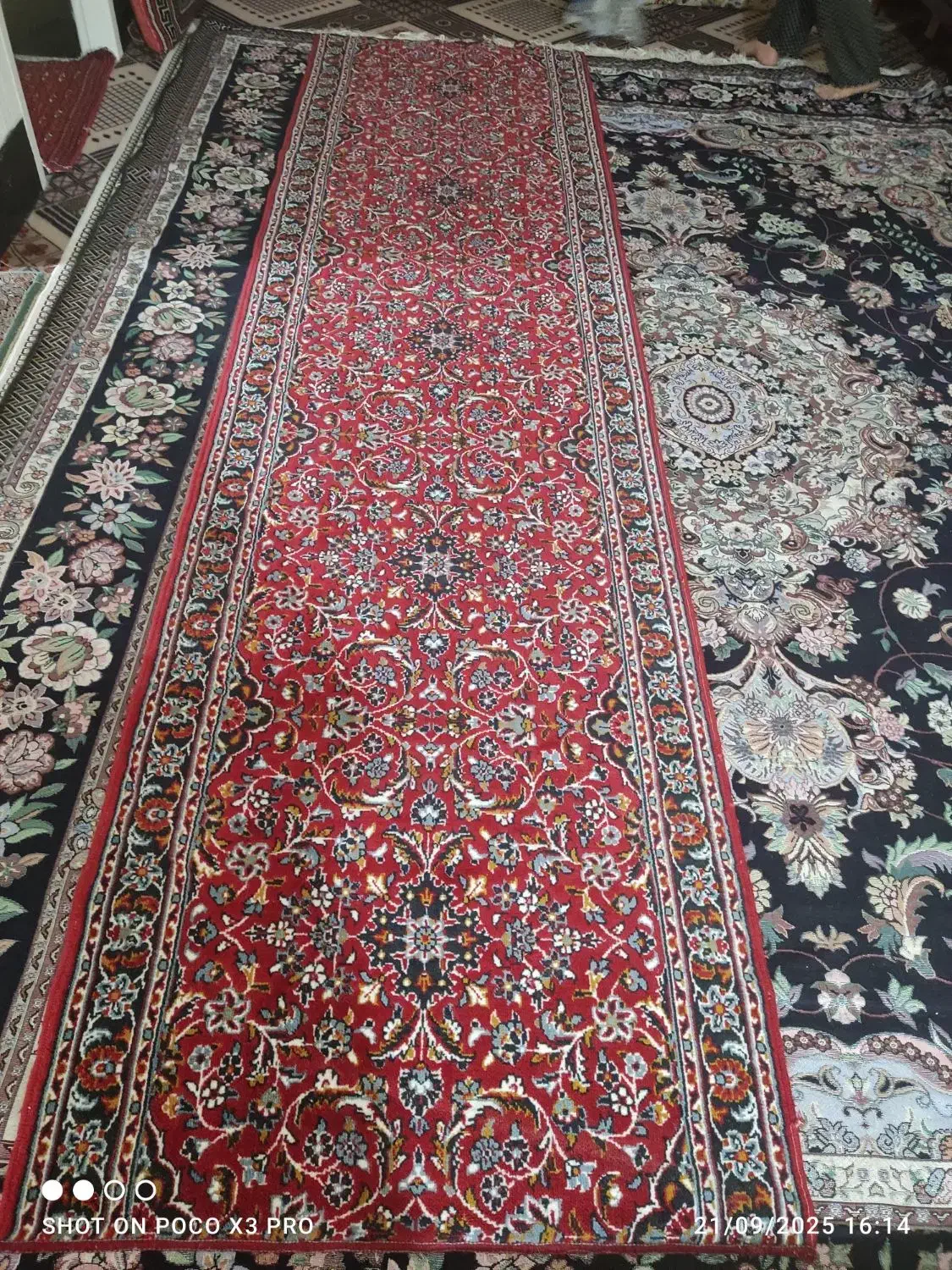 قالی لاکی در حد نو 2عدد و دوعدد کنار فرشی|فرش|مرودشت, فرهنگ|دیوار