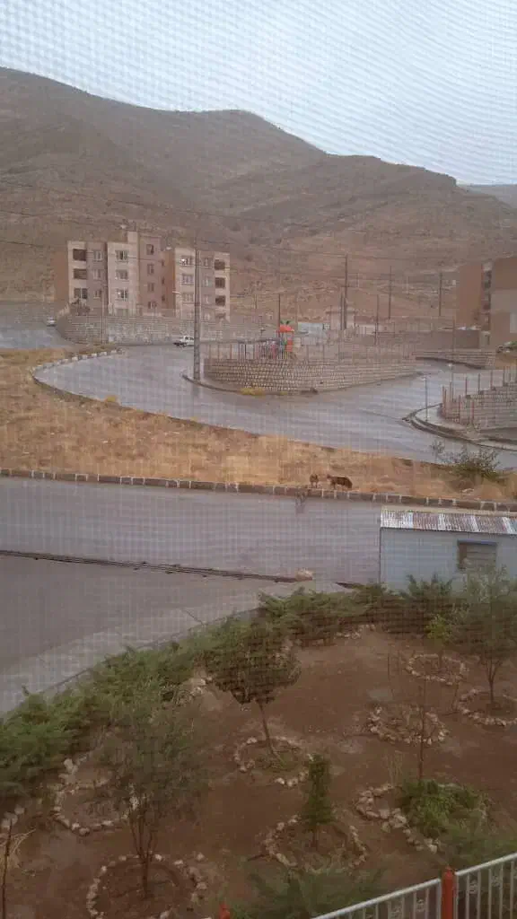 رهن آپارتمان|اجارهٔ آپارتمان|زرقان, |دیوار