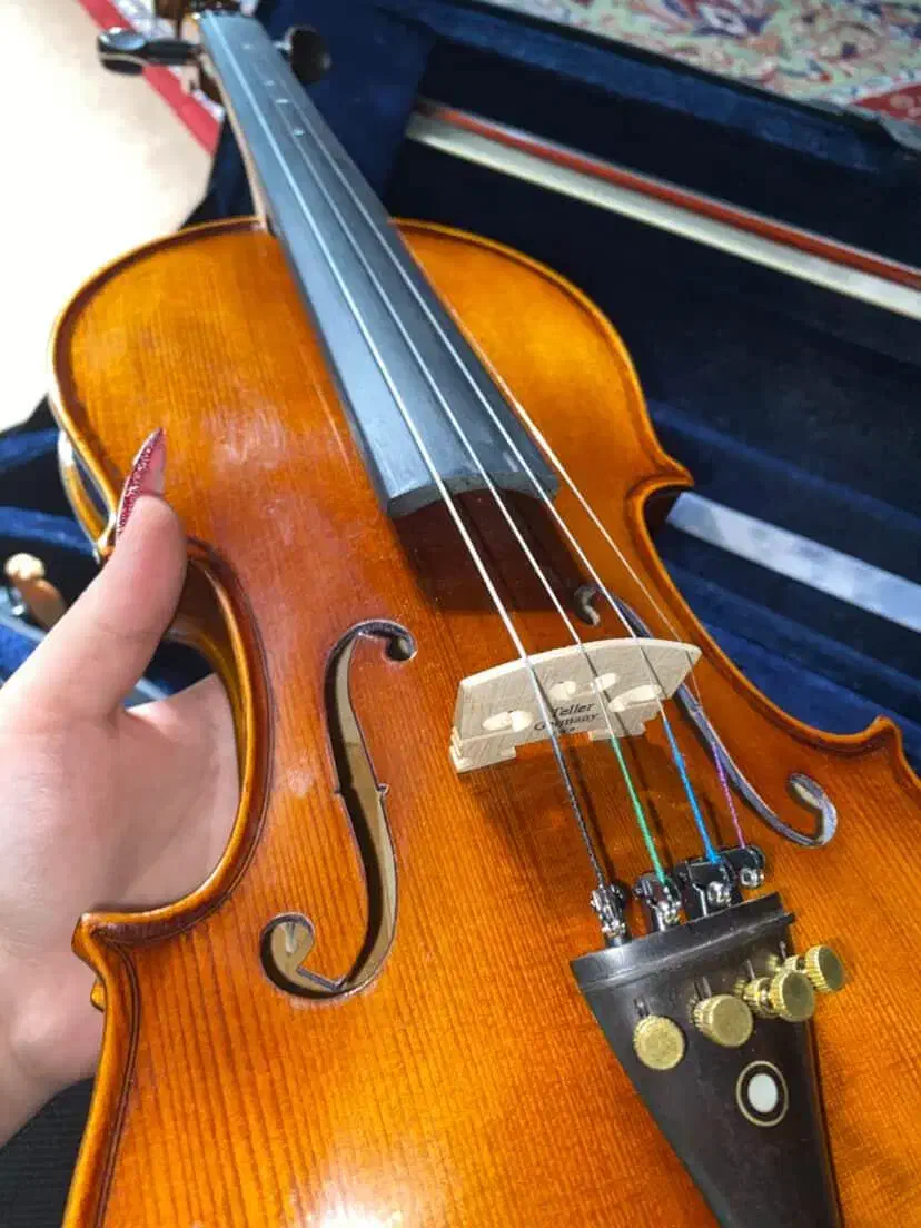 آلات موسیقی|ویولن|قزوین, |دیوار