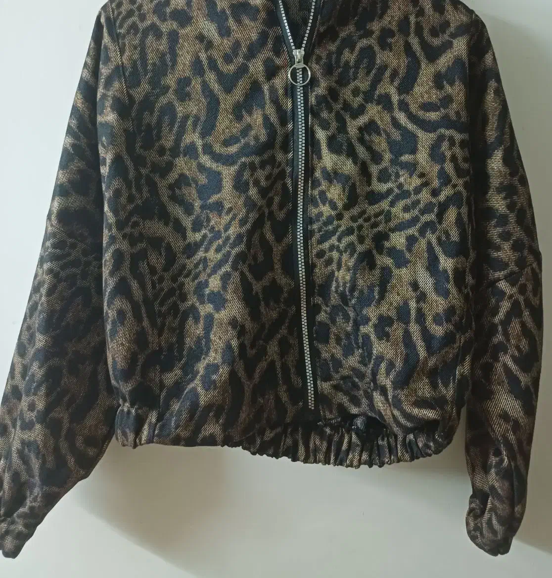 بامبر جکت پلنگی|لباس|شیراز, پانصد دستگاه ارتش|دیوار