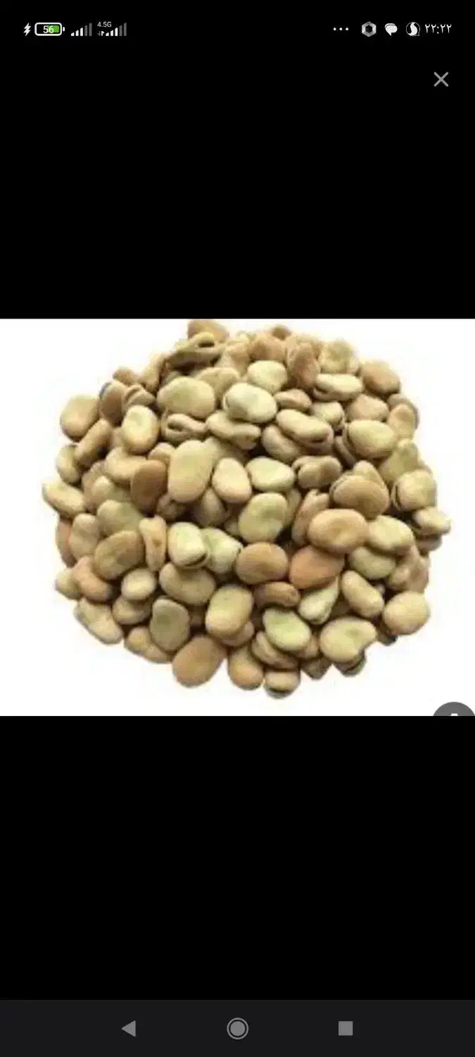 باقالی|عمده‌فروشی|ششده و قره بلاغ, |دیوار